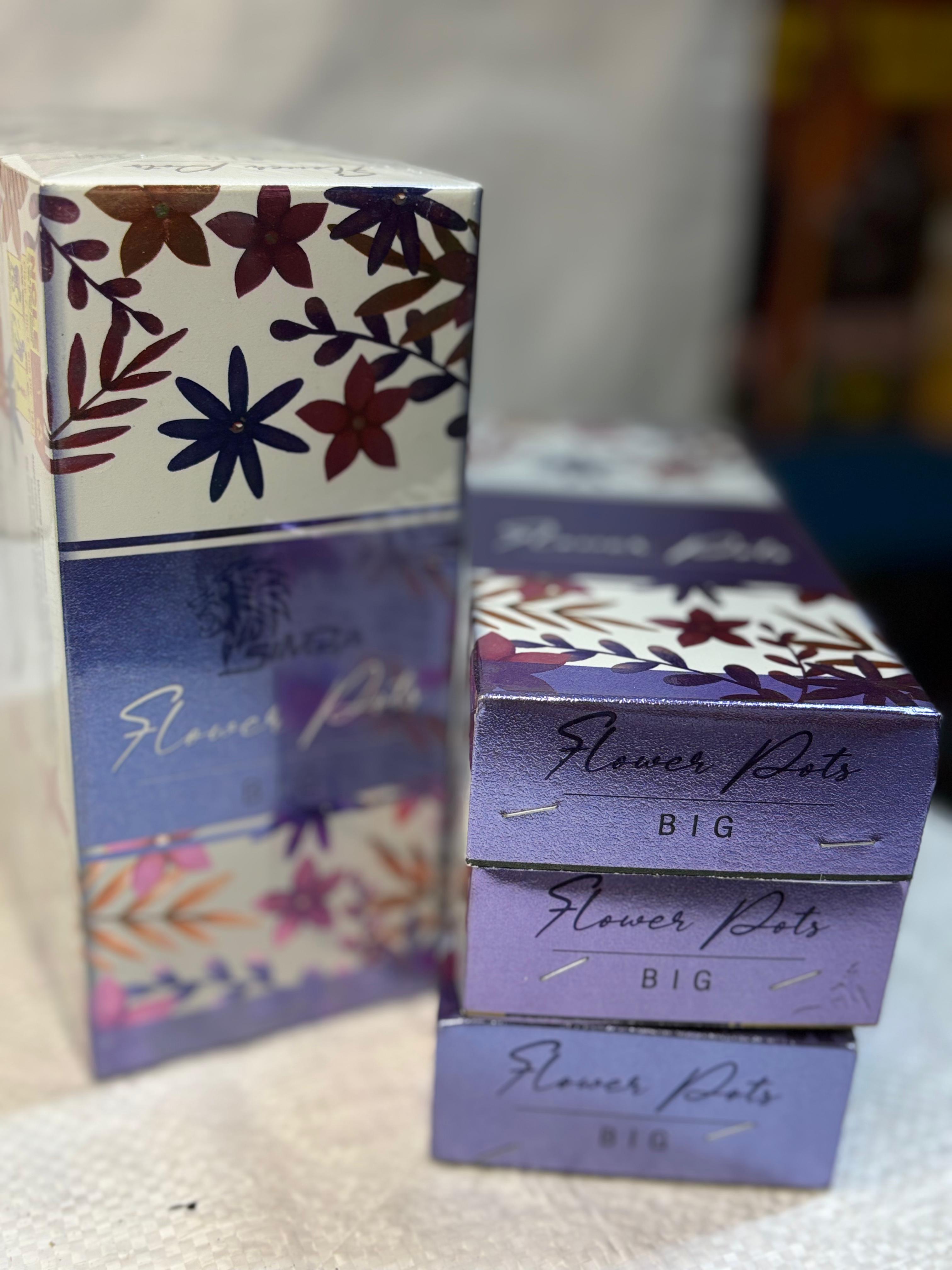 FLOWER POTS BIG (10 PCS)